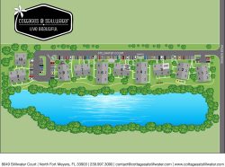 Click to view larger